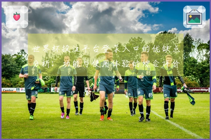 世界杯投注平台登录入口的优缺点分析：功能与使用体验的综合评价