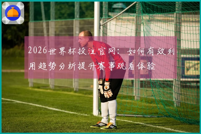 2026世界杯投注官网：如何有效利用趋势分析提升赛事观看体验