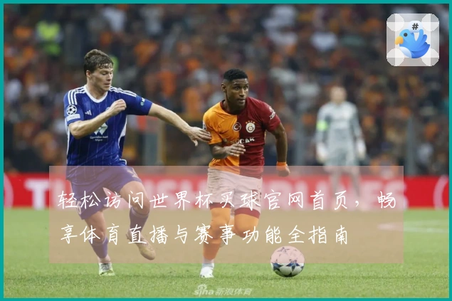 轻松访问世界杯买球官网首页，畅享体育直播与赛事功能全指南