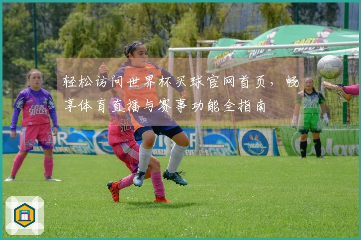 轻松访问世界杯买球官网首页，畅享体育直播与赛事功能全指南