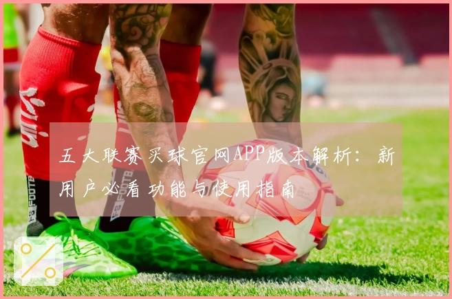 五大联赛买球官网APP版本解析：新用户必看功能与使用指南