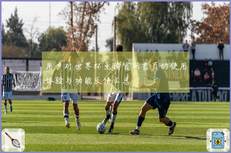 用户对世界杯竞猜官网首页的使用体验与功能反馈汇总