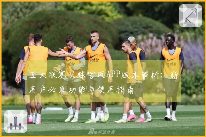五大联赛买球官网APP版本解析：新用户必看功能与使用指南