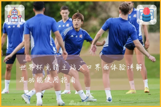 世界杯竞猜主站入口界面体验详解及功能使用指南