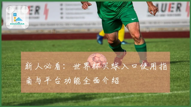 新人必看：世界杯买球入口使用指南与平台功能全面介绍