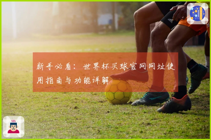 新手必看:世界杯买球官网网址使用指南与功能详解